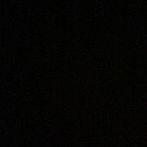 Meet your Posher, Levi